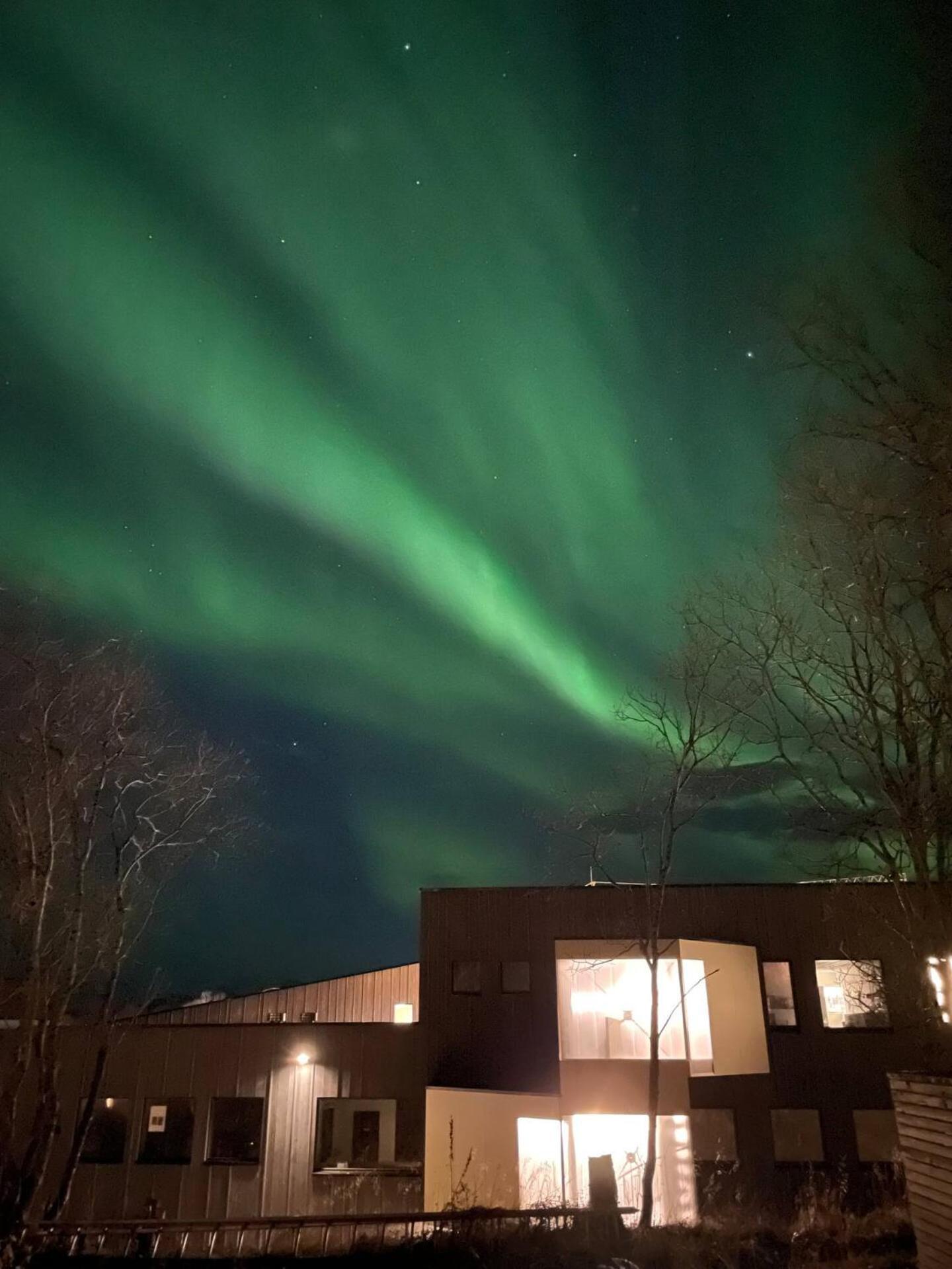 Aurora Polaris Apartment - 750M From Citycenter - Free Parking Tromso Exterior photo